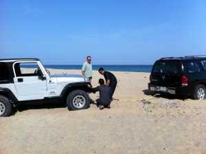 Help on the beach ...