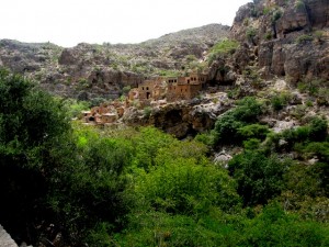The extraordinary verdant wadi in the height of the summer due to the falaj system around the mountains; deserted village of Bani Habib in the background