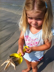 Littlest with starfish beach find