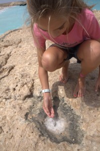 The Eldest finding salt crystals 