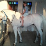 Our Boy trying out one of the beautiful Arabian horses for size
