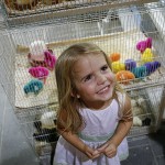 The Littlest with the most exotic find - multicoloured chicks ...