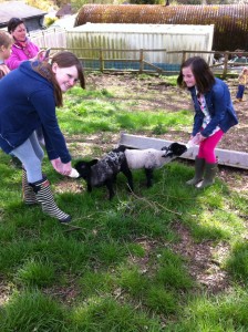 Friends feeding the lambs