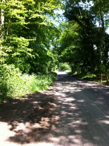 The perfect Hampshire countryside