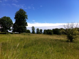 The landscape inside Danebury Ring