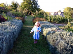The Littlest running through the perfectly ordered vegetable garden