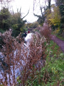 The Basingstoke Canal