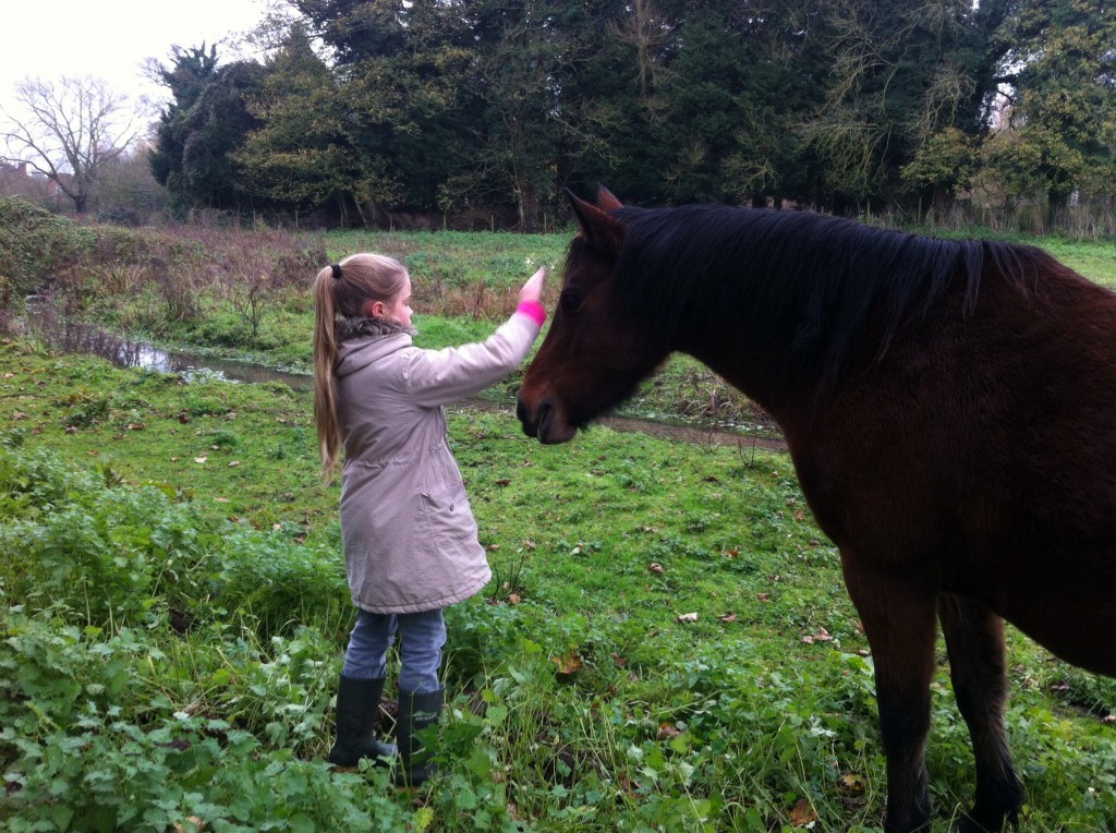 Finding a friend on our way home