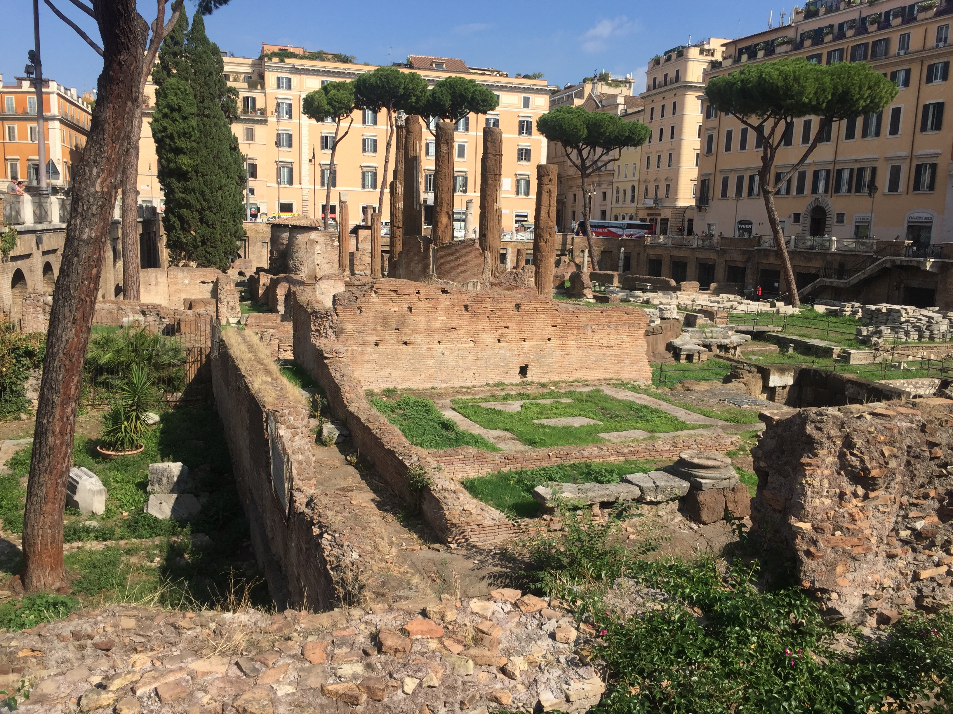 Where Julius Caesar was murdered & cats now live